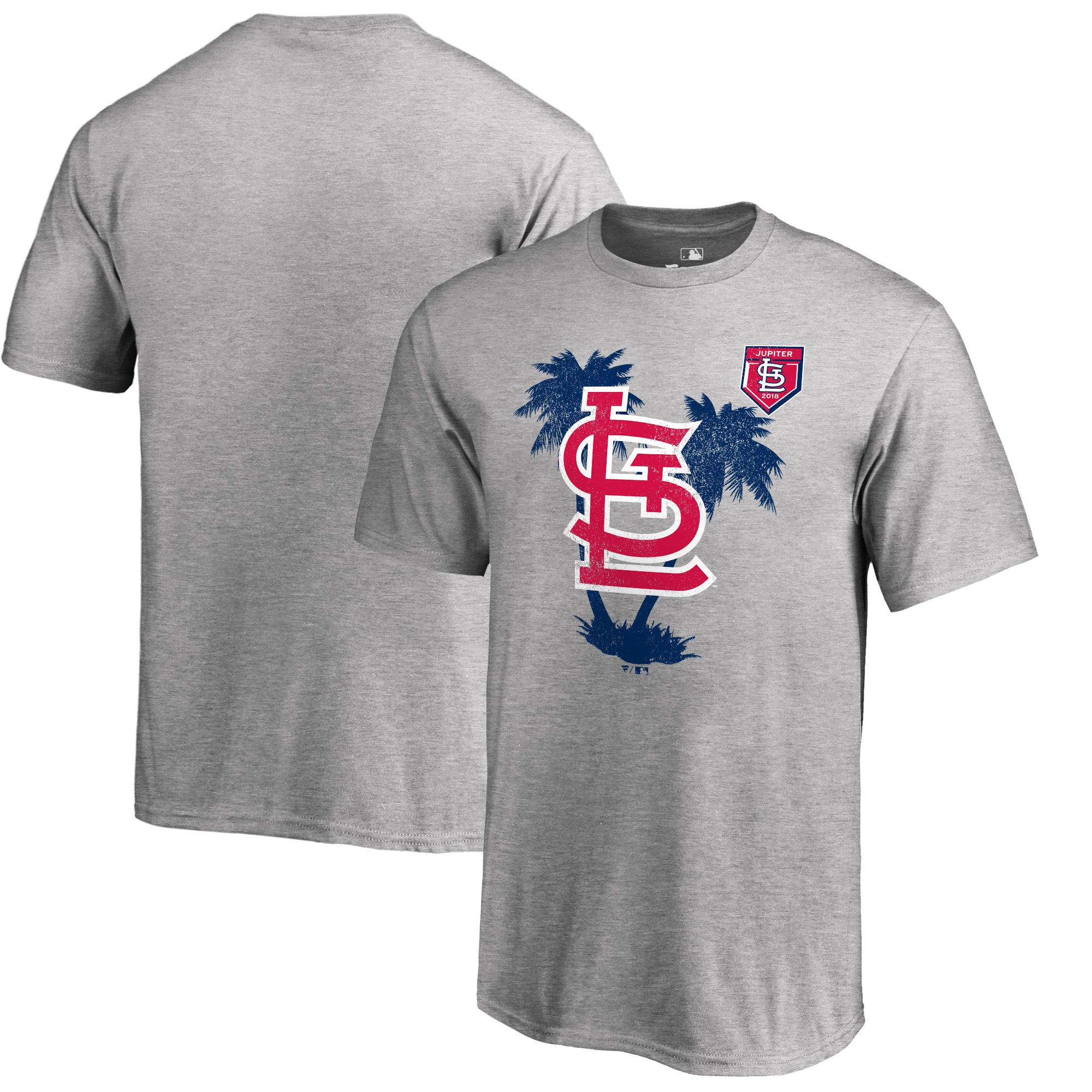 Men's St. Louis Cardinals Fanatics Branded 2018 MLB Spring Training Vintage T-Shirt – Heather Gray